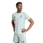 adidas Mexico Away Authentic Jersey 2024