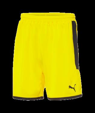 P Borussia Shorts