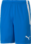 Puma Liga Jr Shorts