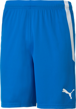 Puma Liga Jr Shorts