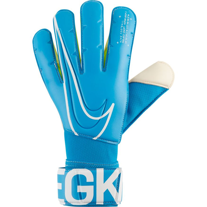 NGS GK VPR GRP3-FA19 Blue Hero